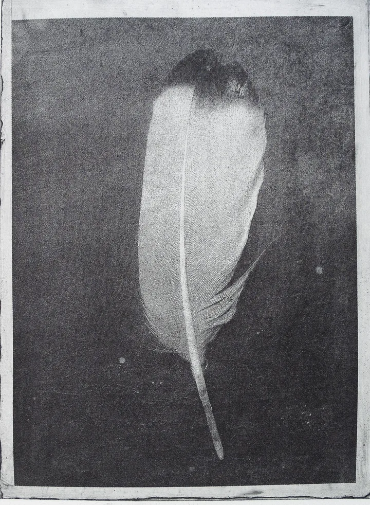 Feather