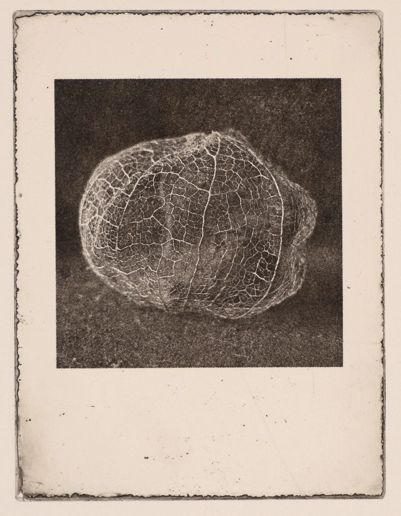 Lantern, small, PP.112.1