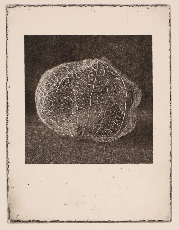 Lantern, small