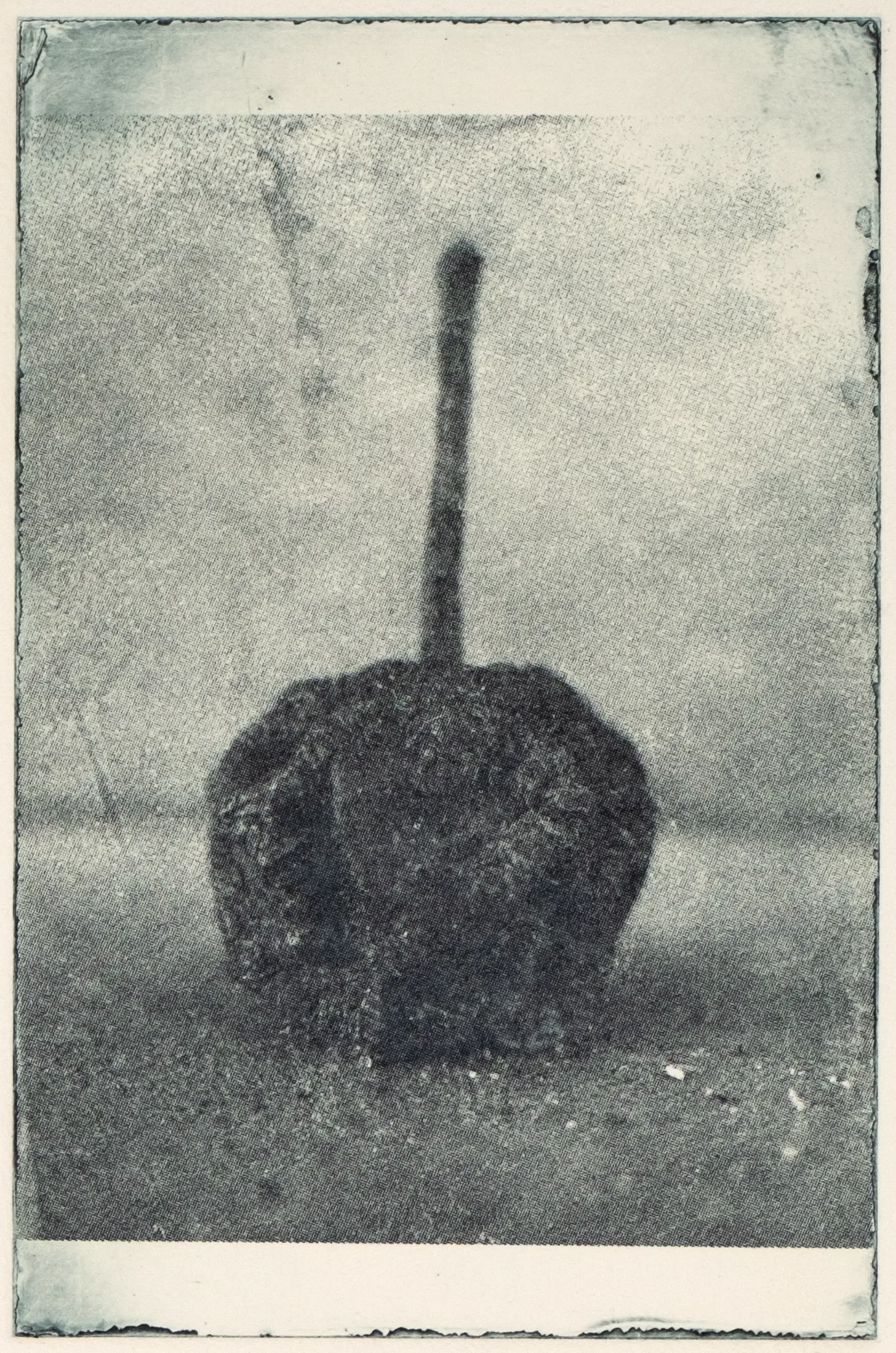 Little apple, soft, PP.113.1