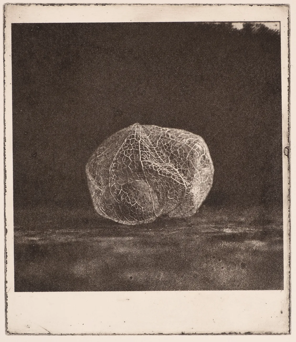 Lantern, PP.88.1