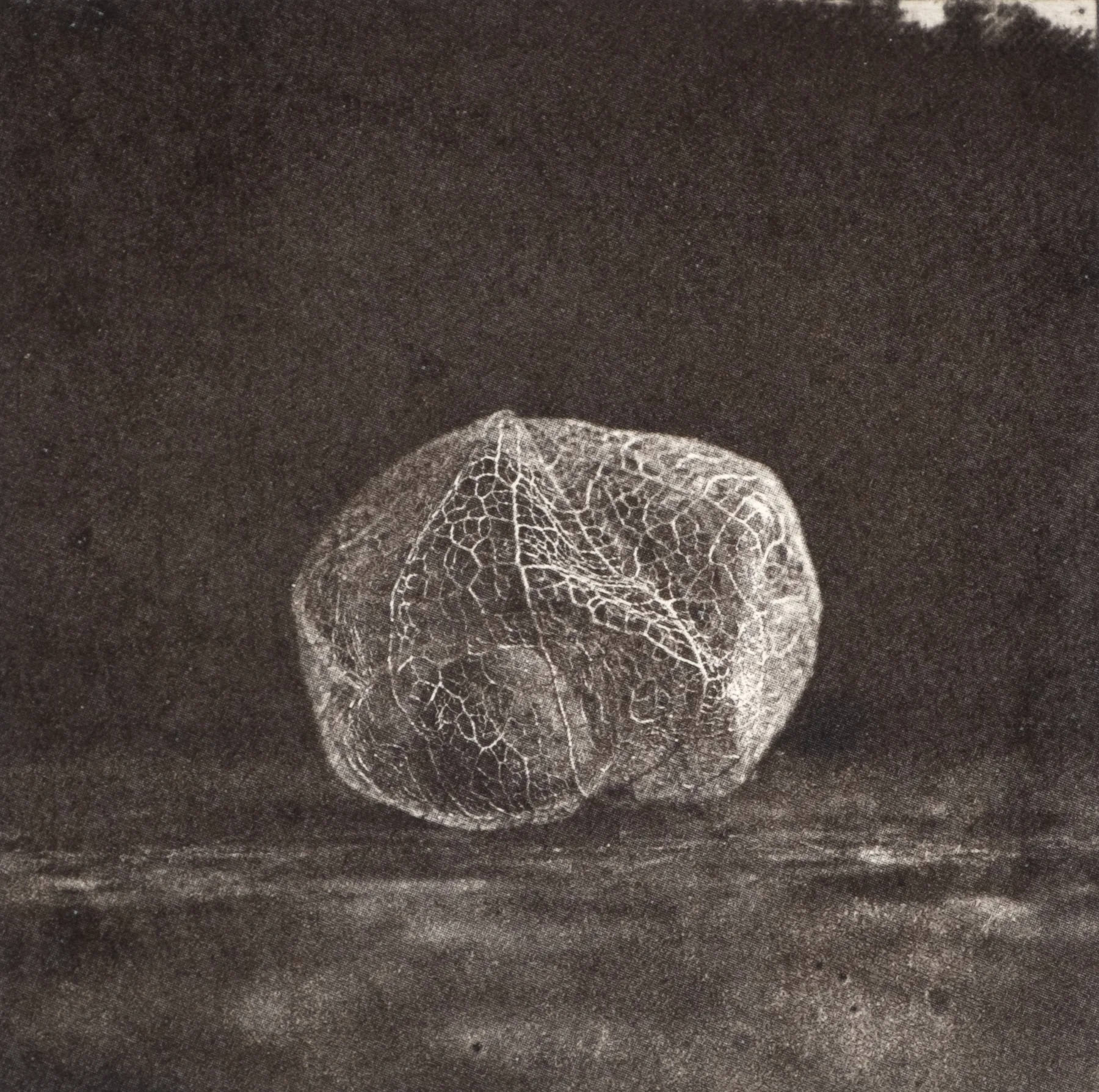 Lantern, PP.88.2