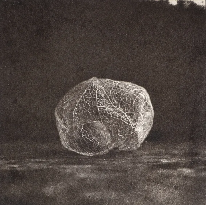 Lantern — impression 2