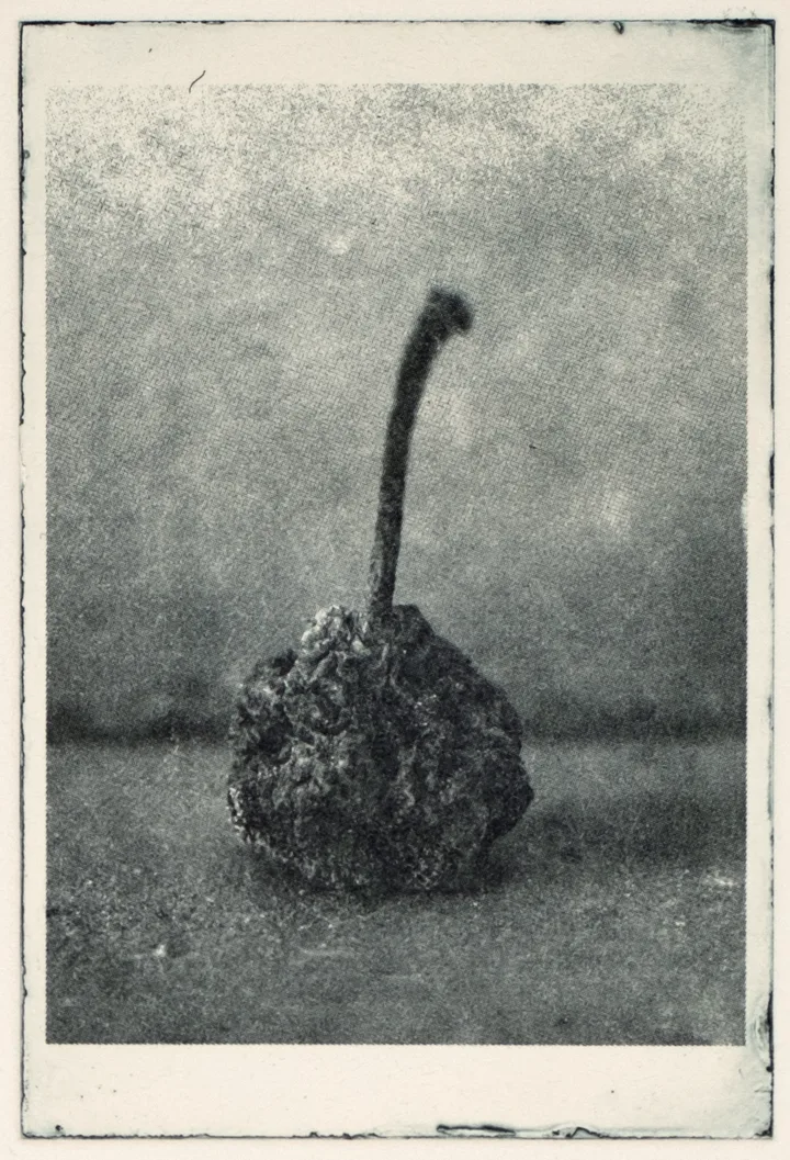 Little apple, sharp