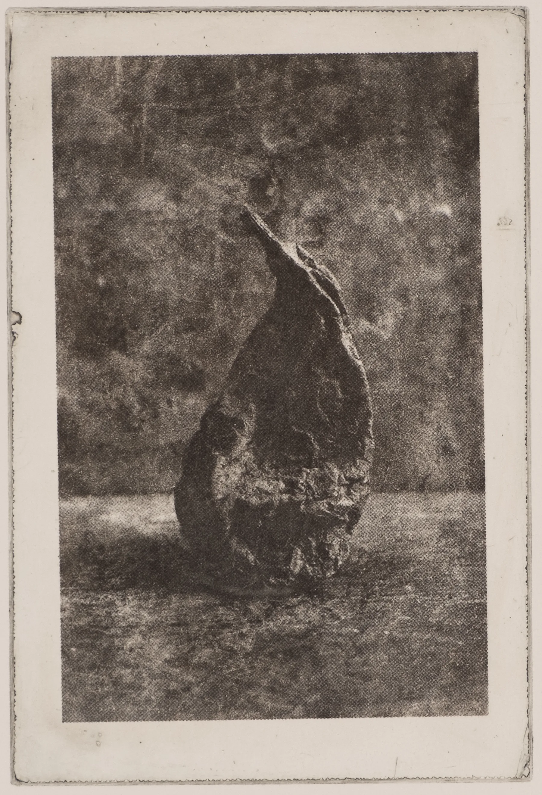 Tall pear, PP.98.1