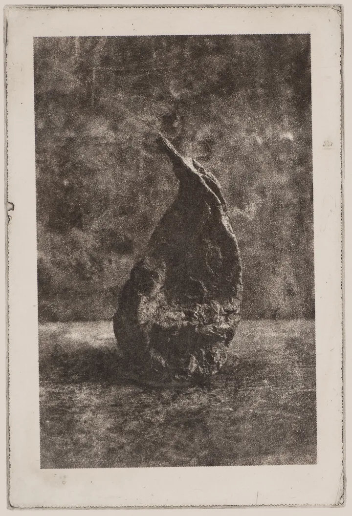 Tall pear